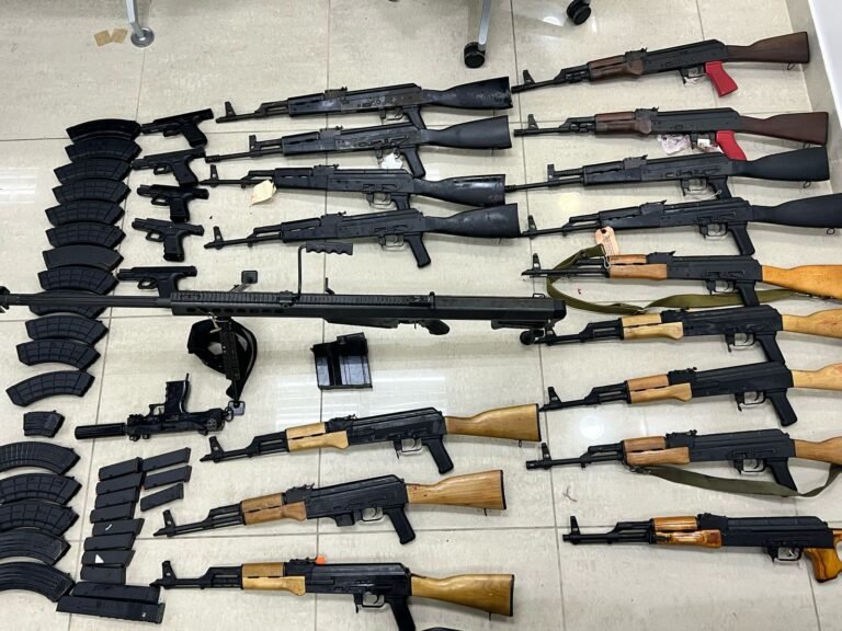 Aduanas detecta 36,000 cápsulas de varios calibres en Haina con destino a Haití