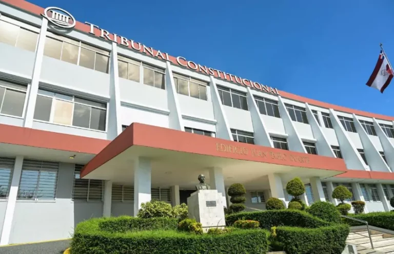 Tribunal Constitucional declara inconstitucional la ley que crea el DNI